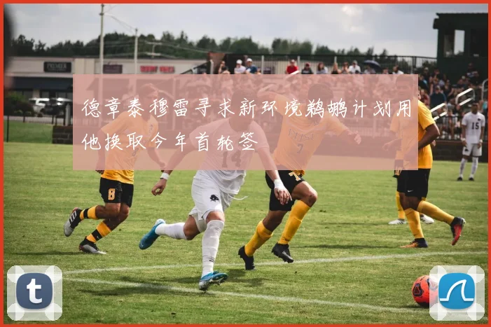 德章泰穆雷寻求新环境鹈鹕计划用他换取今年首轮签