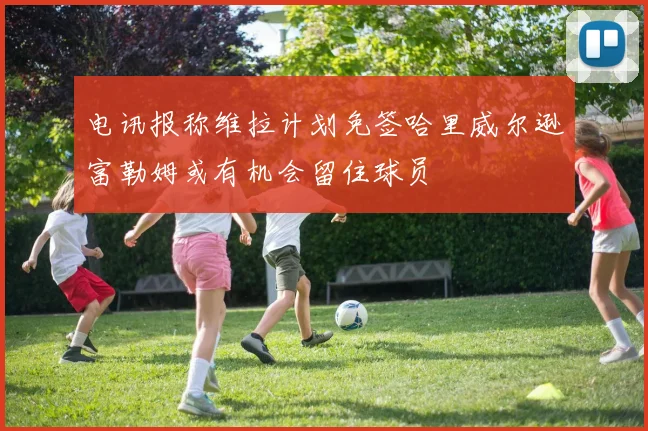 电讯报称维拉计划免签哈里威尔逊富勒姆或有机会留住球员