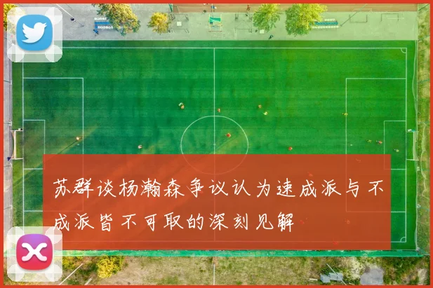 苏群谈杨瀚森争议认为速成派与不成派皆不可取的深刻见解