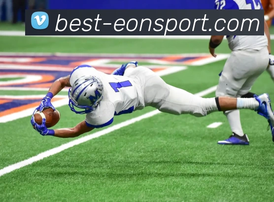 意昂体育平台生态图