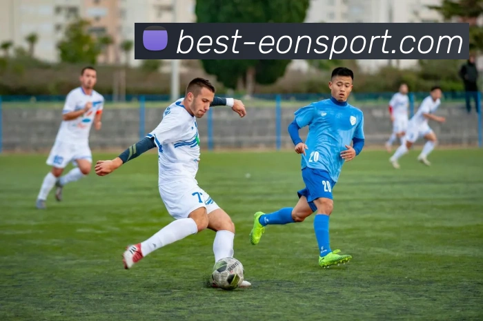 意昂体育全站App